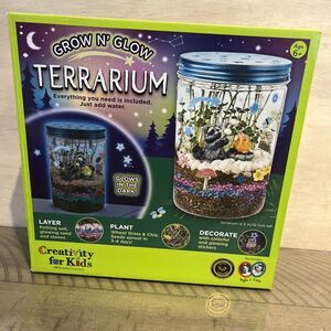 Grow N’ Glow Terrarium Summer Child Craft Activity Boys and Girls Nature Outdoor